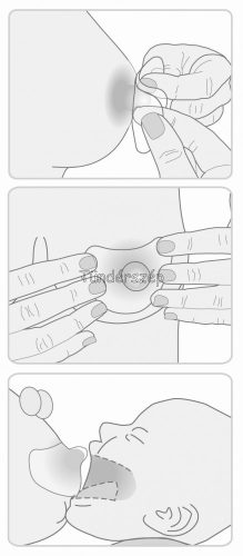 Lansinoh kontakt bimbóvédő 2 db, Normál 24mm